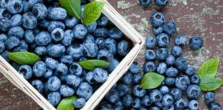 Image of blueberries in a basket as one of several brain food options for brain health