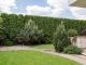 Image of garden with hedge border with question of who owns hedge