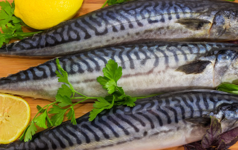 Brain Food - oily fish mackerel
