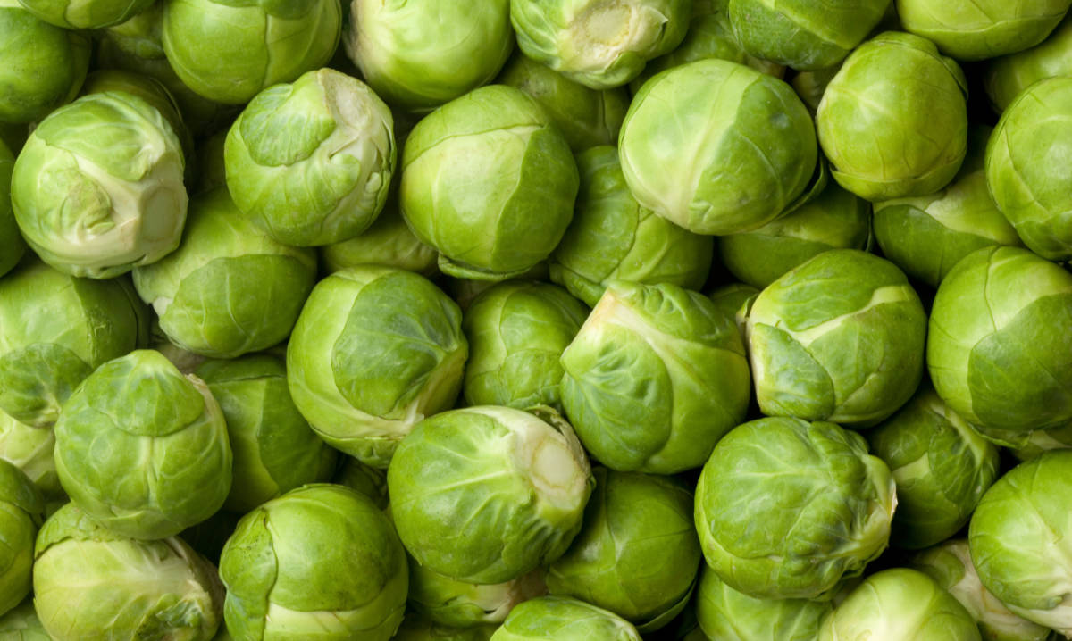 6 amazing health benefits of seasonal Brussels sprouts
