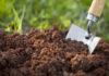 peat-free compost gardens will be big in 2020