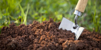 peat-free compost gardens will be big in 2020