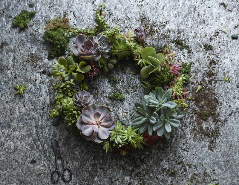 Fill gaps in the Christmas wreath with extra plants or cones (Dobbies Garden Centres/PA)