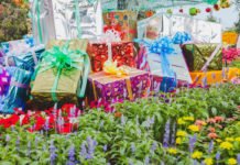 Green-fingered Christmas gifts for gardeners galore for 2019 (iStock/PA)