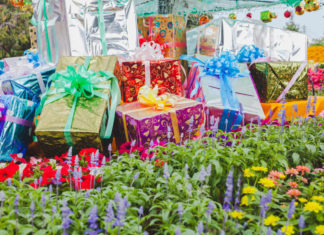 Green-fingered Christmas gifts for gardeners galore for 2019 (iStock/PA)