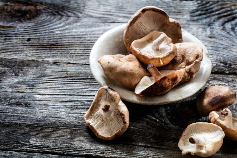 Shitake mushrooms set wood to illustrate vitamin D