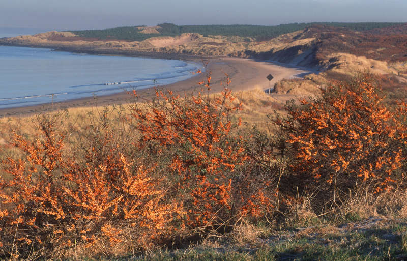 Best Boxing Day walks include Gullane Bay, East Lothian. (VisitScotland/PA)