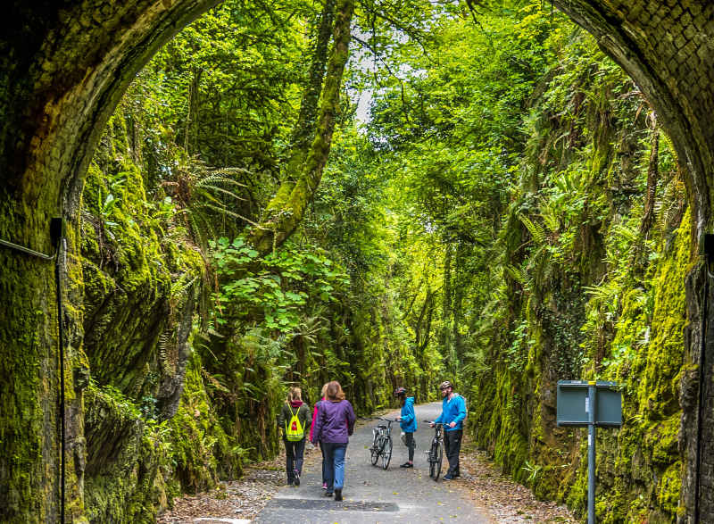 The Waterford Greenway, Munster is one of the best Boxing Day walks (Tourism Ireland/PA). 