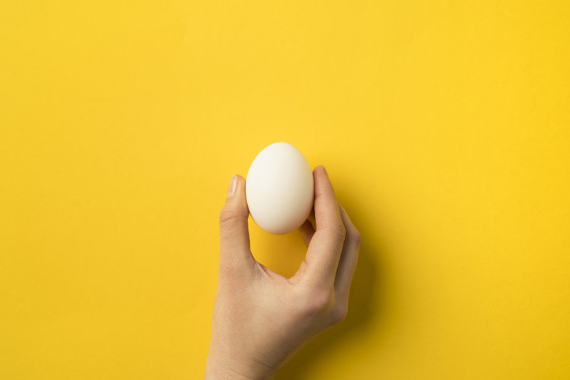 Protein facts - start your day with an egg.