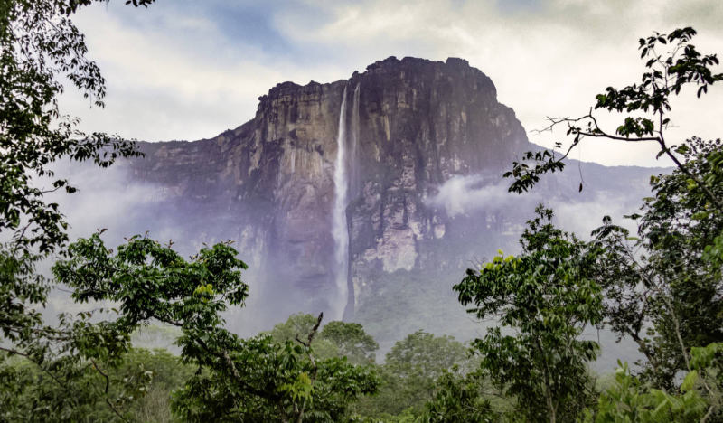 Famous waterfalls Angel waterfall, with 979 meters drop, the highest waterfall in the world on the Auyan tepuy, Canaima National Park, Venezuela.