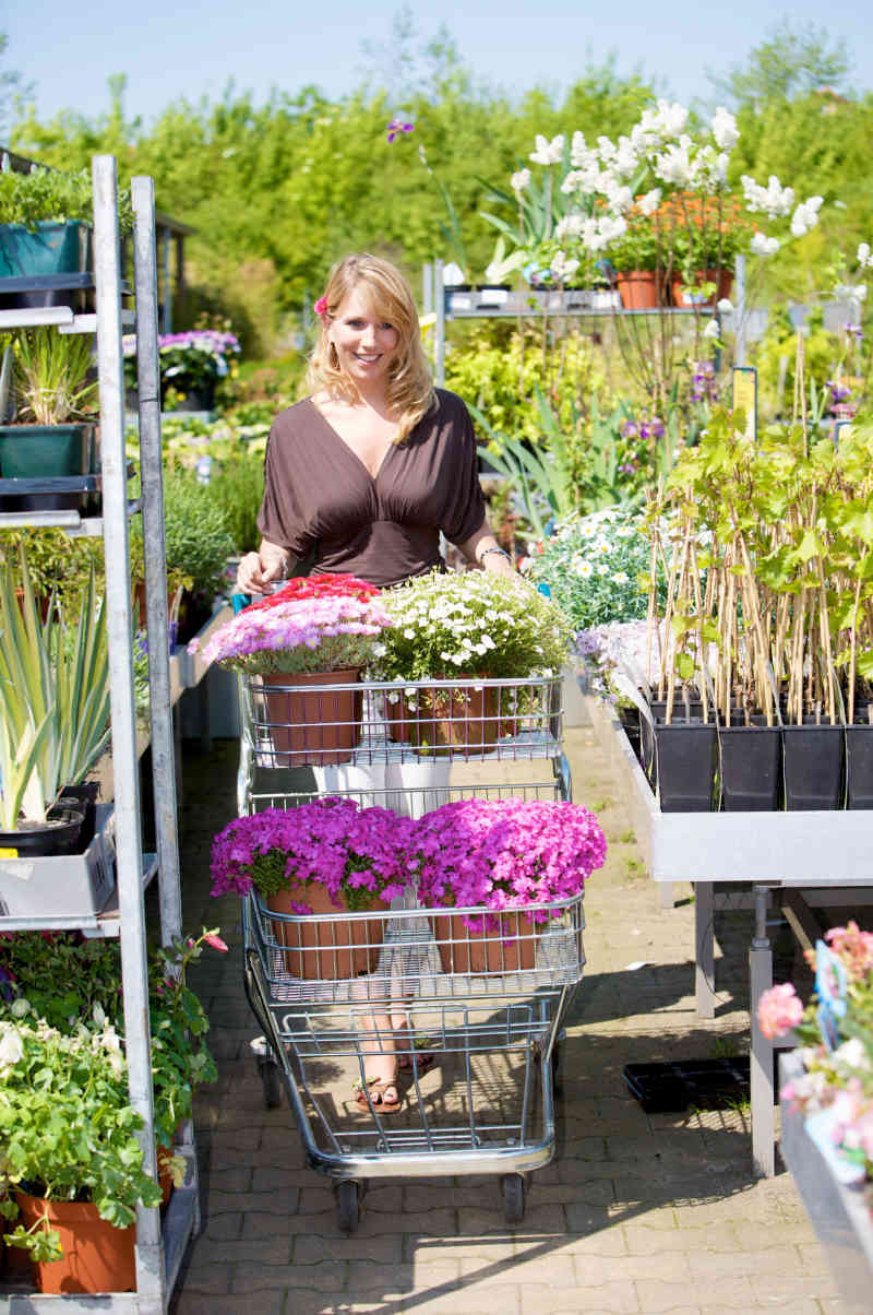 A sensible gardening New Year resolution is to avoid splashing out on impulse-buy plants.