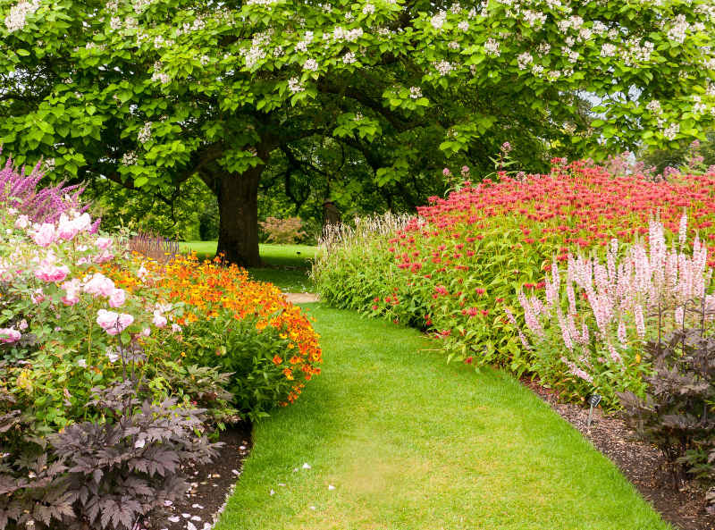 Visit more inspiration gardens for great gardening ideas.