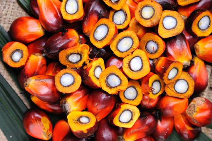 What is palm oil and should you avoid using it?