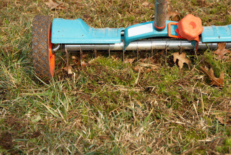 Front view of hand lawna aerator at workSee similar Garden related pictures from my portfolio: