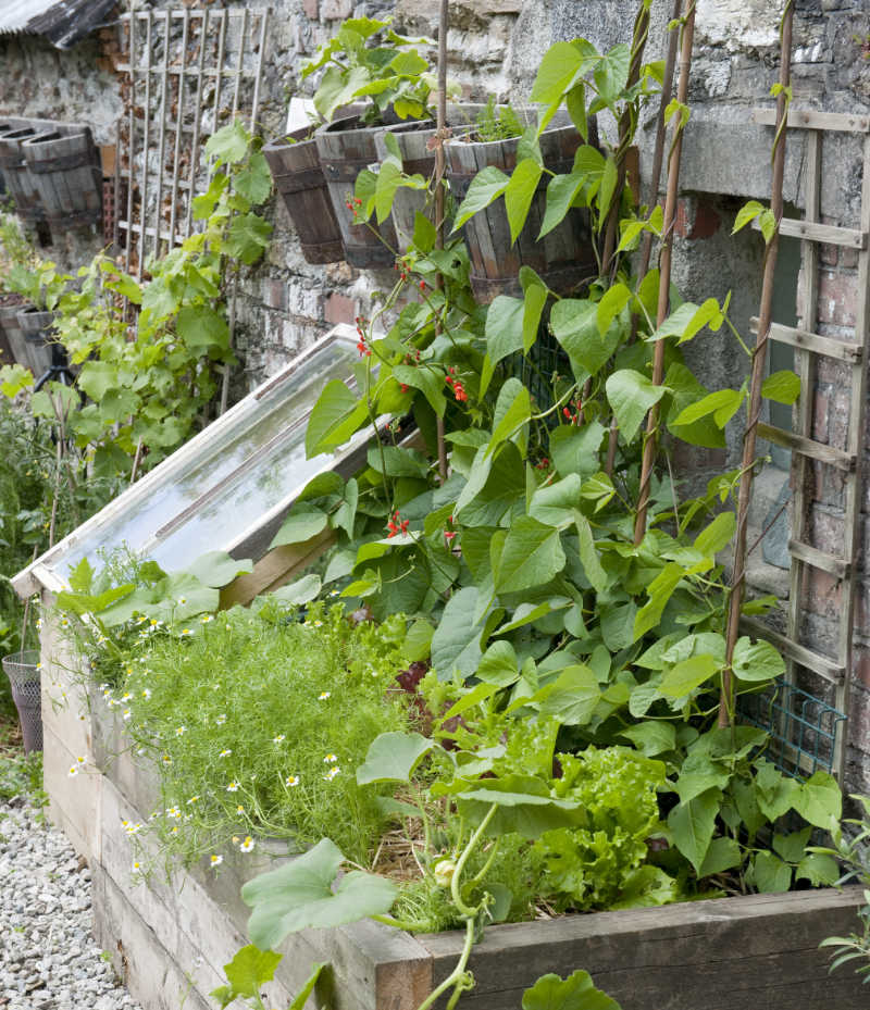 Use space wisely – urban gardening means growing vertically to make the most of your space.