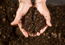How to use compost guide