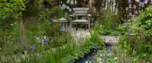 Mindful garden design can create an area of tranquility.