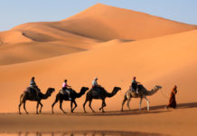 Camel caravan going along the lake the Sahara Desert, Morocco.