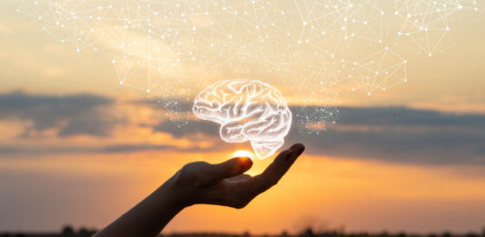 How to boost your brain health (iStock/PA)