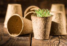 Ditch plastic pots for biodegradable ones (iStock/PA)
