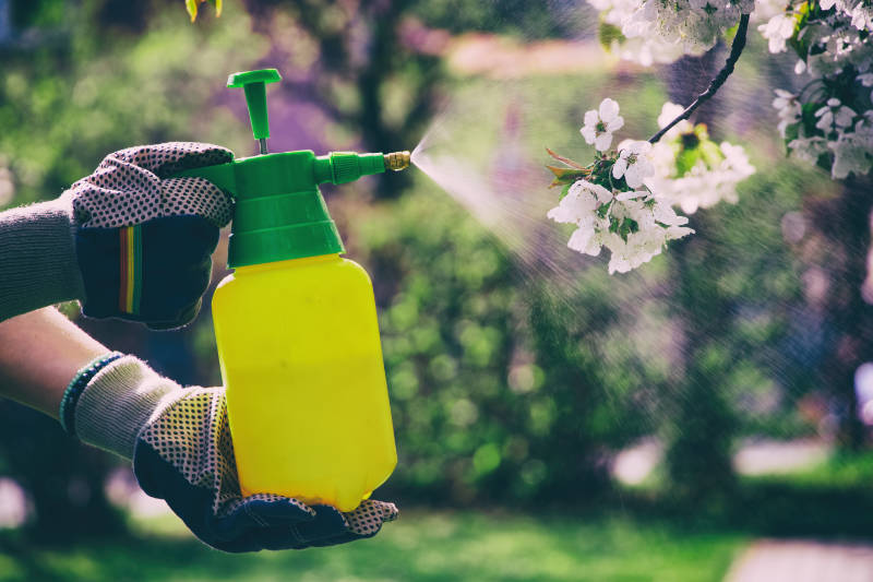 Avoid pesticides and go organic (iStock/PA)