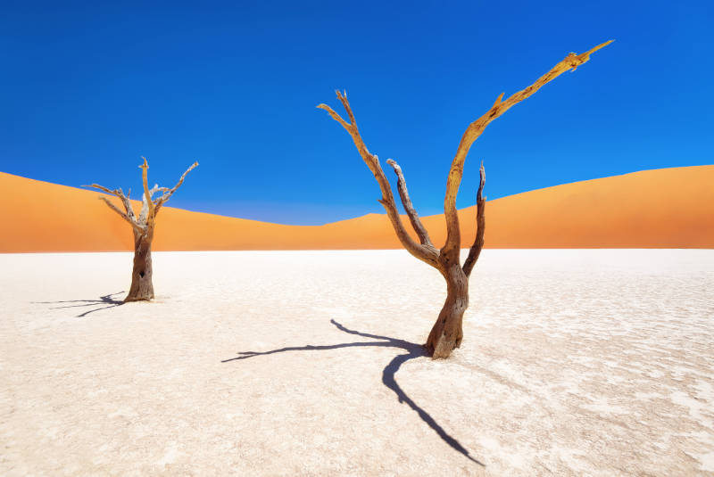 Dead Vlei in Naukluft National Park, Namibia can be visited on 360 virtual tours (iStock/PA)