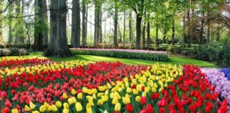 World famous gardens to visit virtually Keukenhof