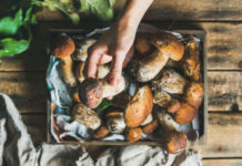 Books about foraging for food