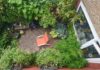 How to make a small garden look bigger