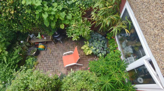 How to make a small garden look bigger