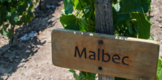Malbec wines spring 2020