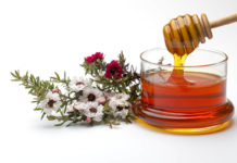 Manuka honey health benefits