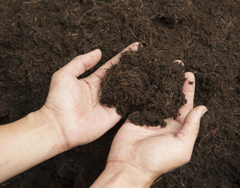 Test your soil. (Thinkstock/PA)