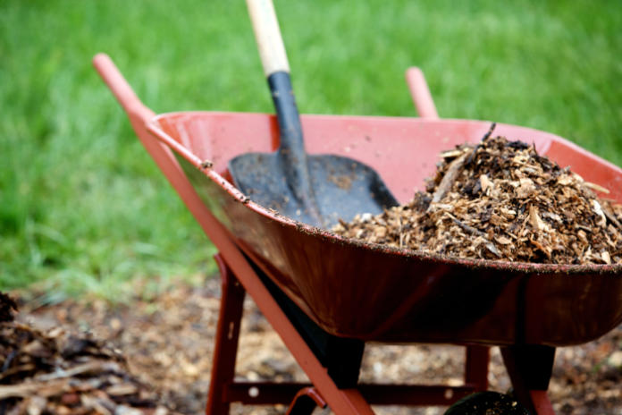 Leafmould mulch is biodegradable (Thinkstock/PA)