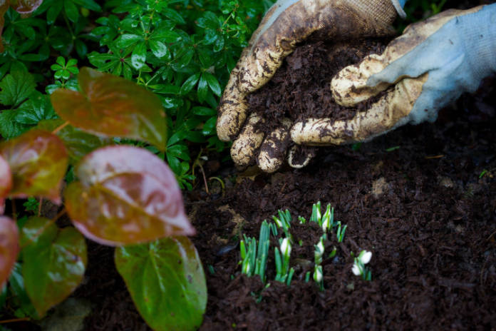 Consider natural mulches. (Neil Hepworth/RHS/PA)
