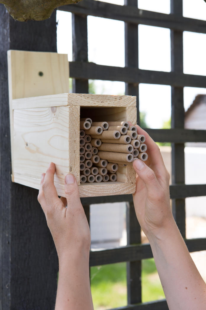 How to make a bee hotel - give it a south or west-facing situation (Sarah Cuttle/PA)
