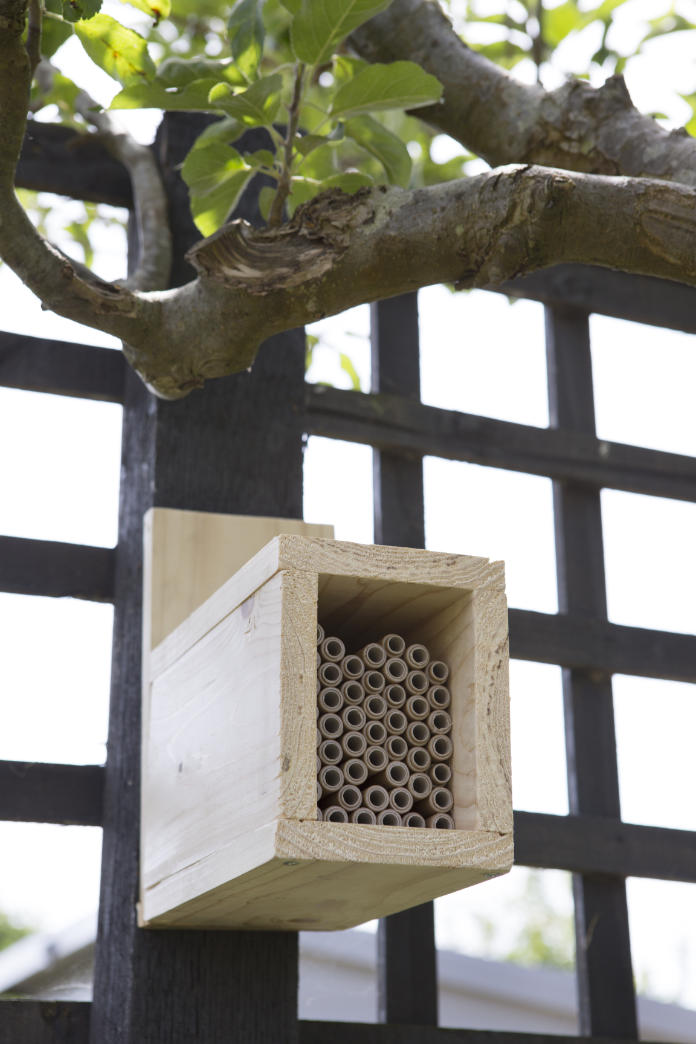 Look after your bee hotel (Sarah Cuttle/PA)