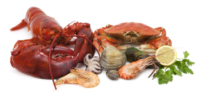 Seafood such as fish and shellfish are rich in zinc.