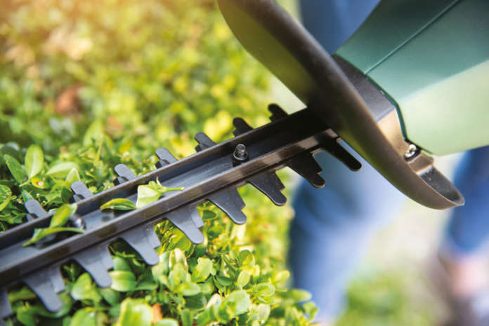 Make light work of hedge-trimming with a new cordless trimmer (Bosch/PA)