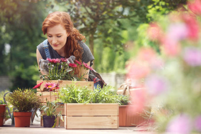 People who are not disabled can destress with gardening (iStock/PA)