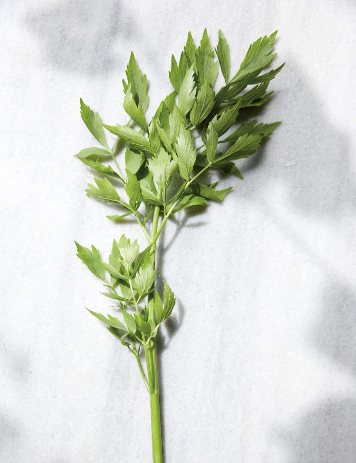 How to grow herbs - Lovage (Tamin Jones/Nourish/PA)
