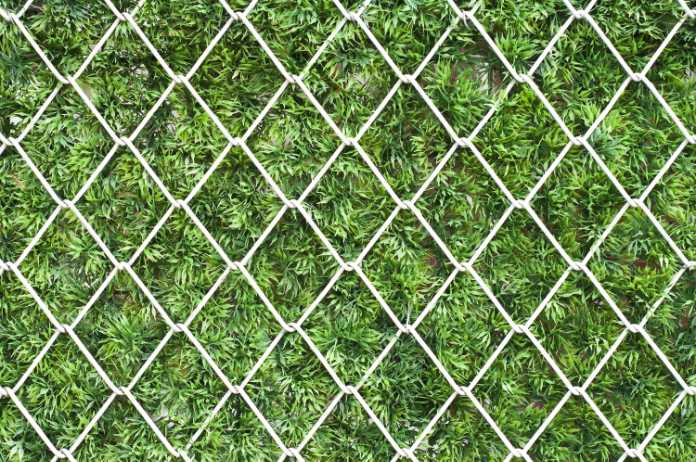 Protect your garden from burglars - Wire fencing could be the first line of defence (Thinkstock/PA)