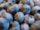 Blueberries (Nick Ansell/PA)