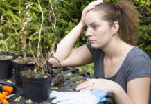 Don’t return home to dried-up plants (Thinkstock/PA)