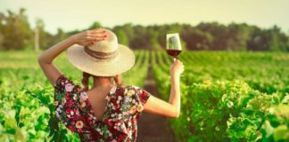 Back view of woman in vineyard drinking glass of red wine at sunset