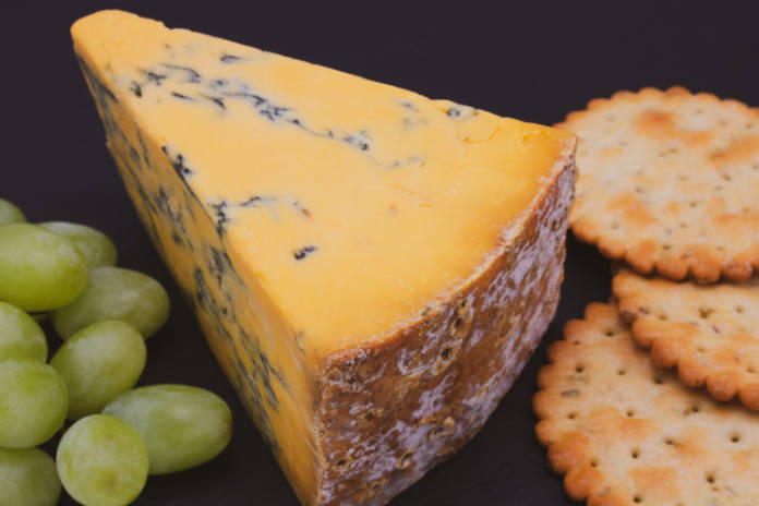 Shropshire Blue – a third culture cheese 
