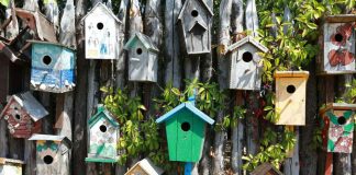 How to build a DIY garden bar and birdhouse