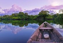 Record-breaking rivers – Amazon river blissful evening