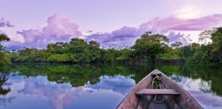 Record-breaking rivers – Amazon river blissful evening