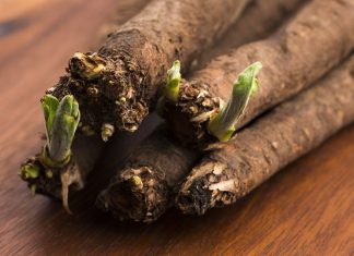 how to cook with salsify